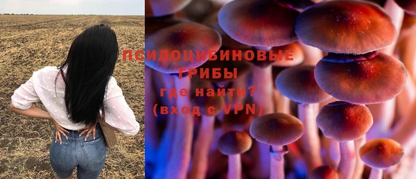 стафф Магадан