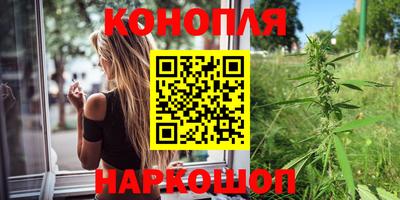 прущие грибы Краснодар