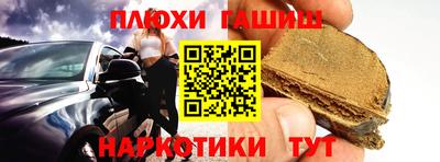 прущие грибы Краснодар