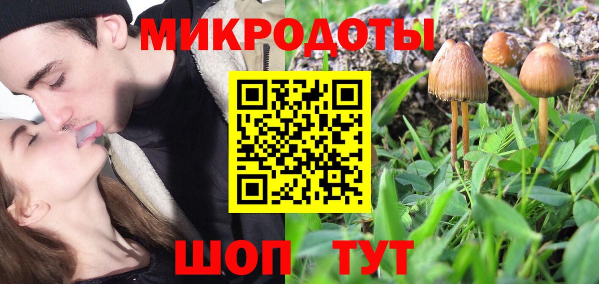 Новоуральск  Псилоцибиновые грибы MAGIC MUSHROOMS  Вход с VPN 